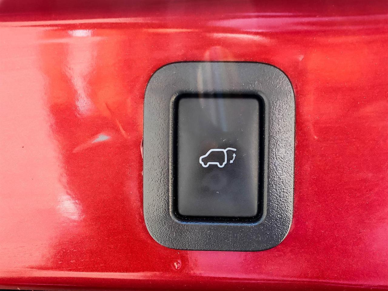 2019 Toyota Highlander XLE Photo