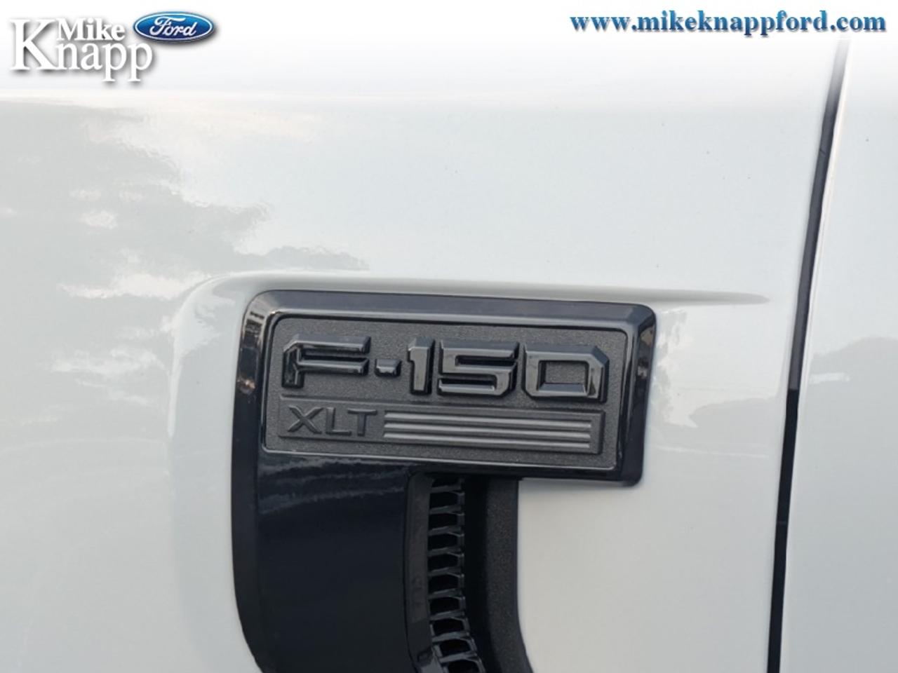 2026 Ford F-150 XLT Photo