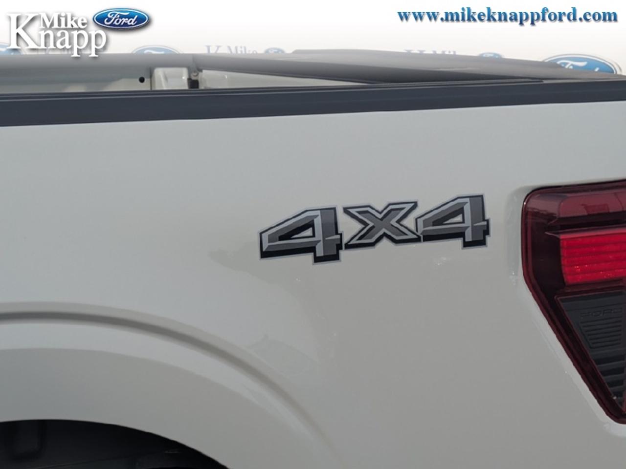 2026 Ford F-150 XLT Photo