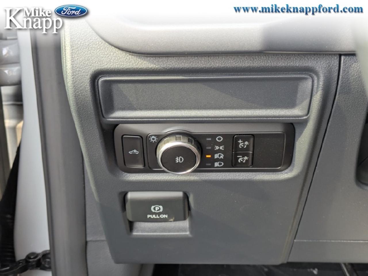 2026 Ford F-150 XLT Photo