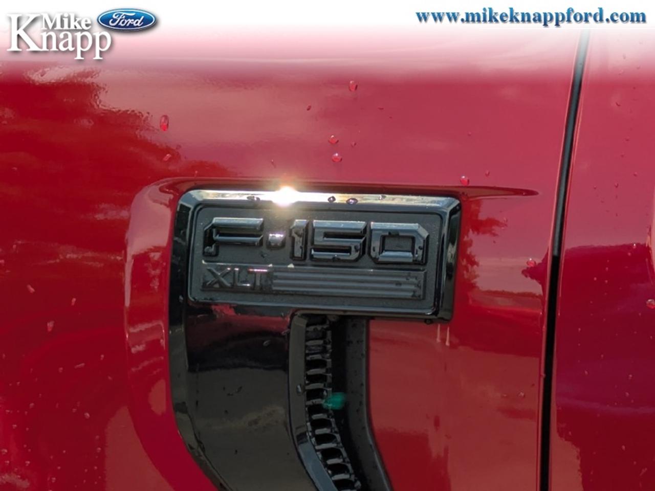 2026 Ford F-150 XLT Photo