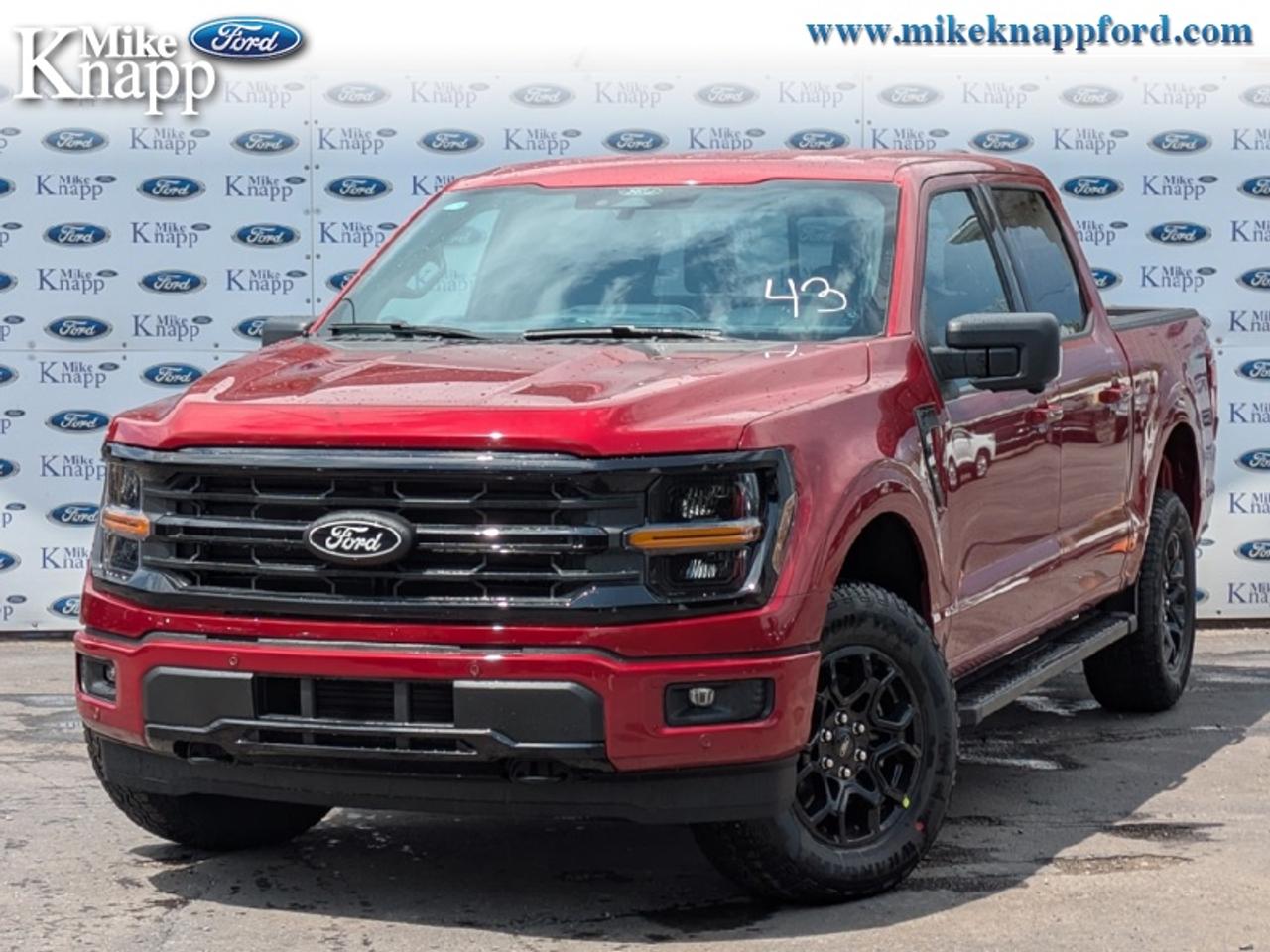 2026 Ford F-150 XLT Photo0