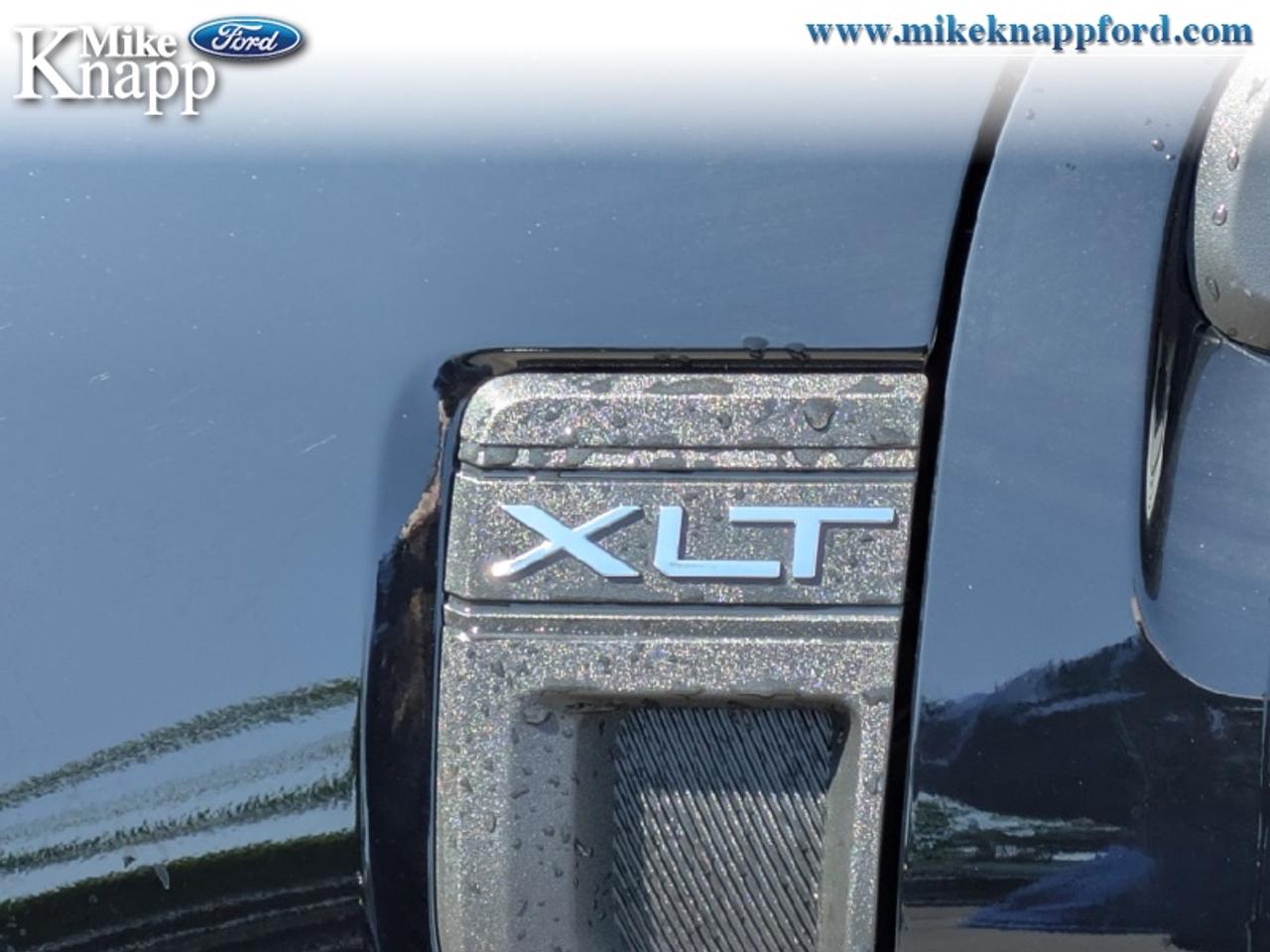 2026 Ford Maverick XLT Photo