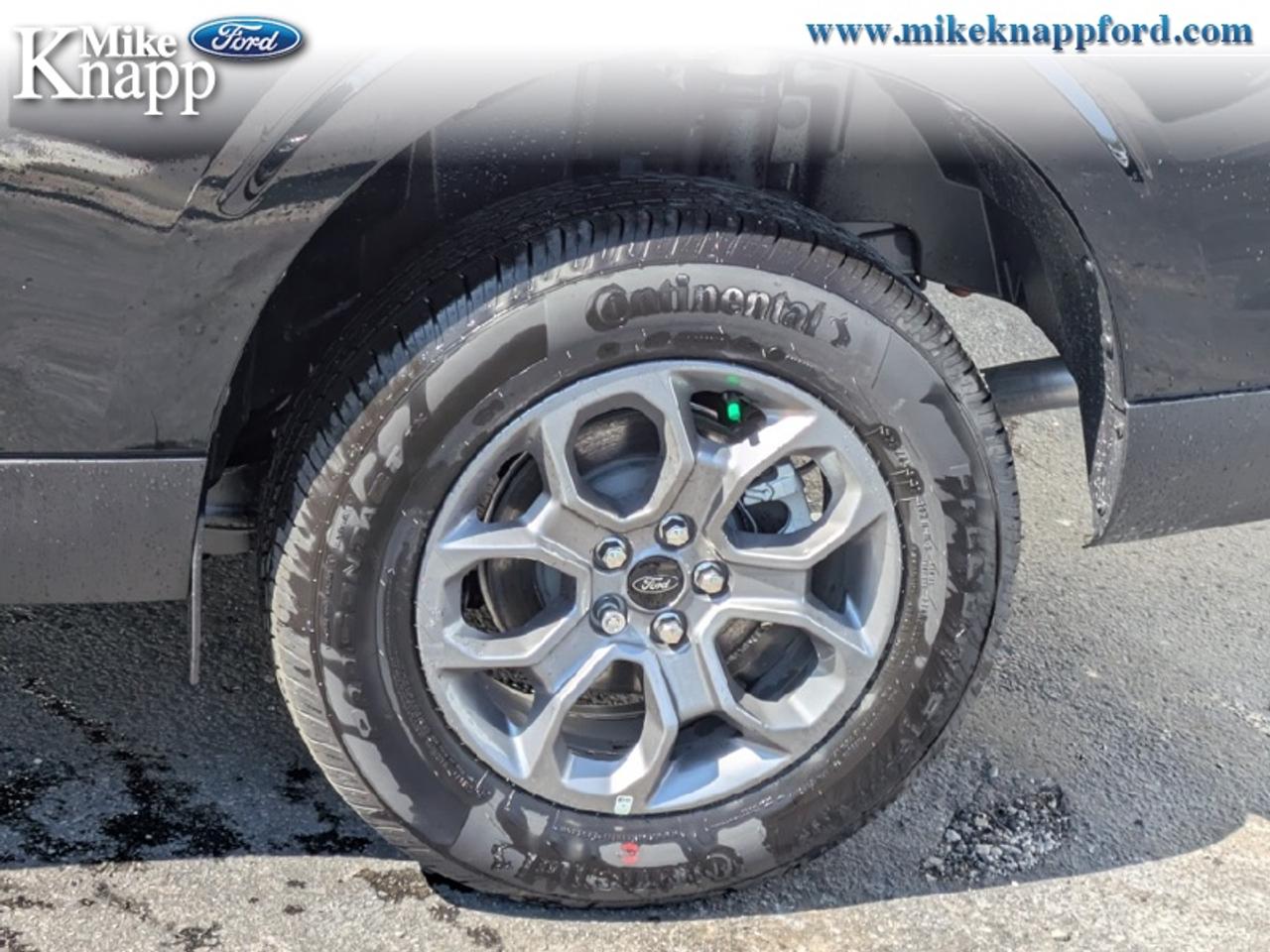 2026 Ford Maverick XLT Photo