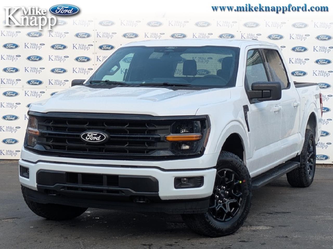 2026 Ford F-150 XLT Photo