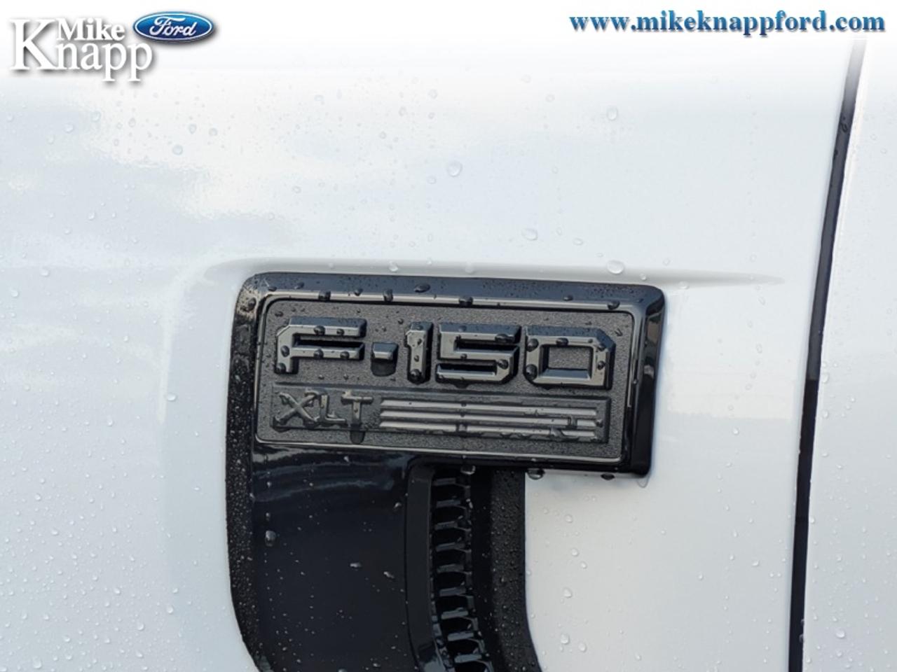 2026 Ford F-150 XLT Photo