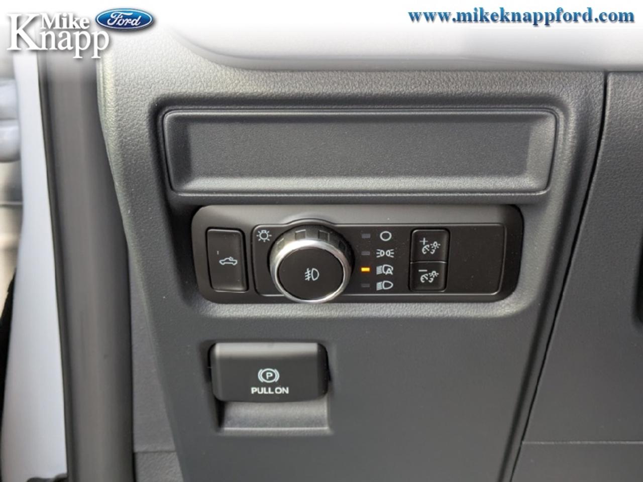 2026 Ford F-150 XLT Photo