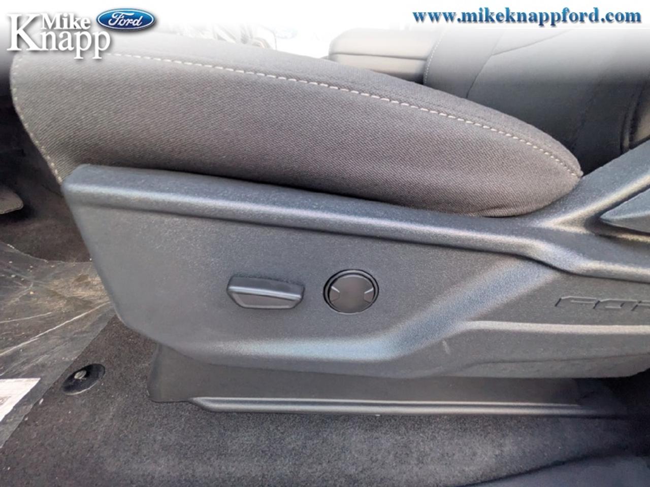 2026 Ford F-150 XLT Photo