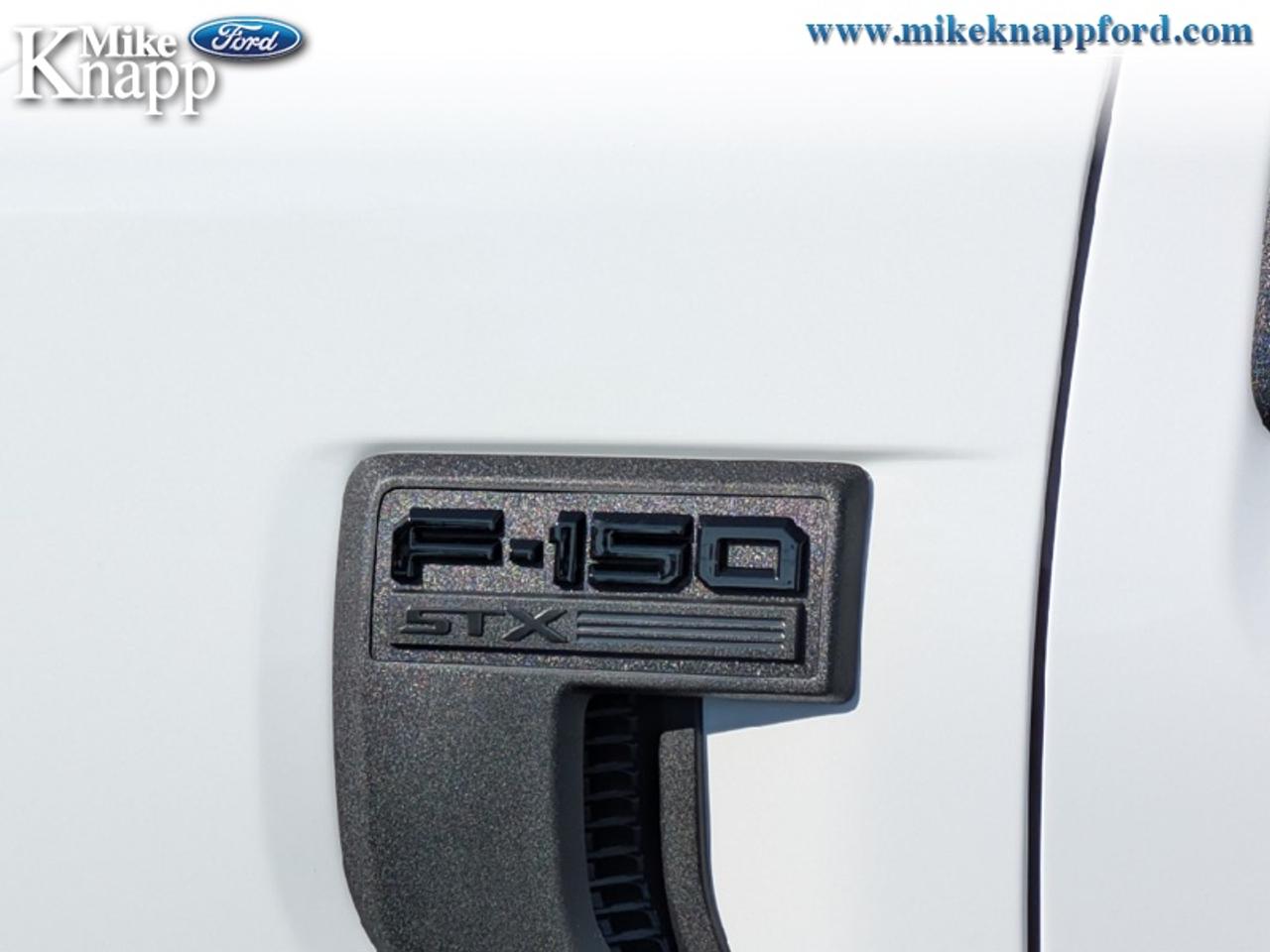 2026 Ford F-150 STX Photo