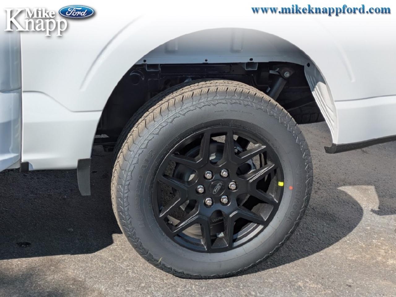 2026 Ford F-150 STX Photo