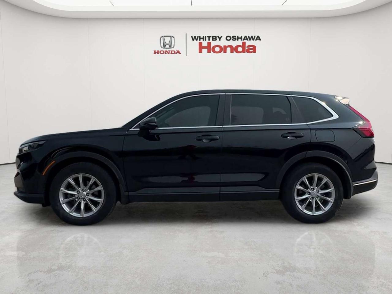 2024 Honda CR-V EX-L Photo