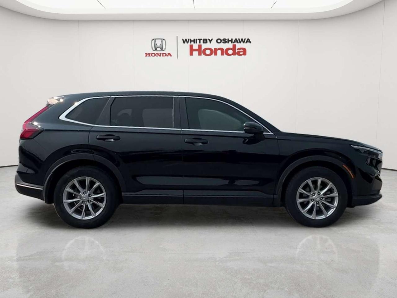 2024 Honda CR-V EX-L Photo