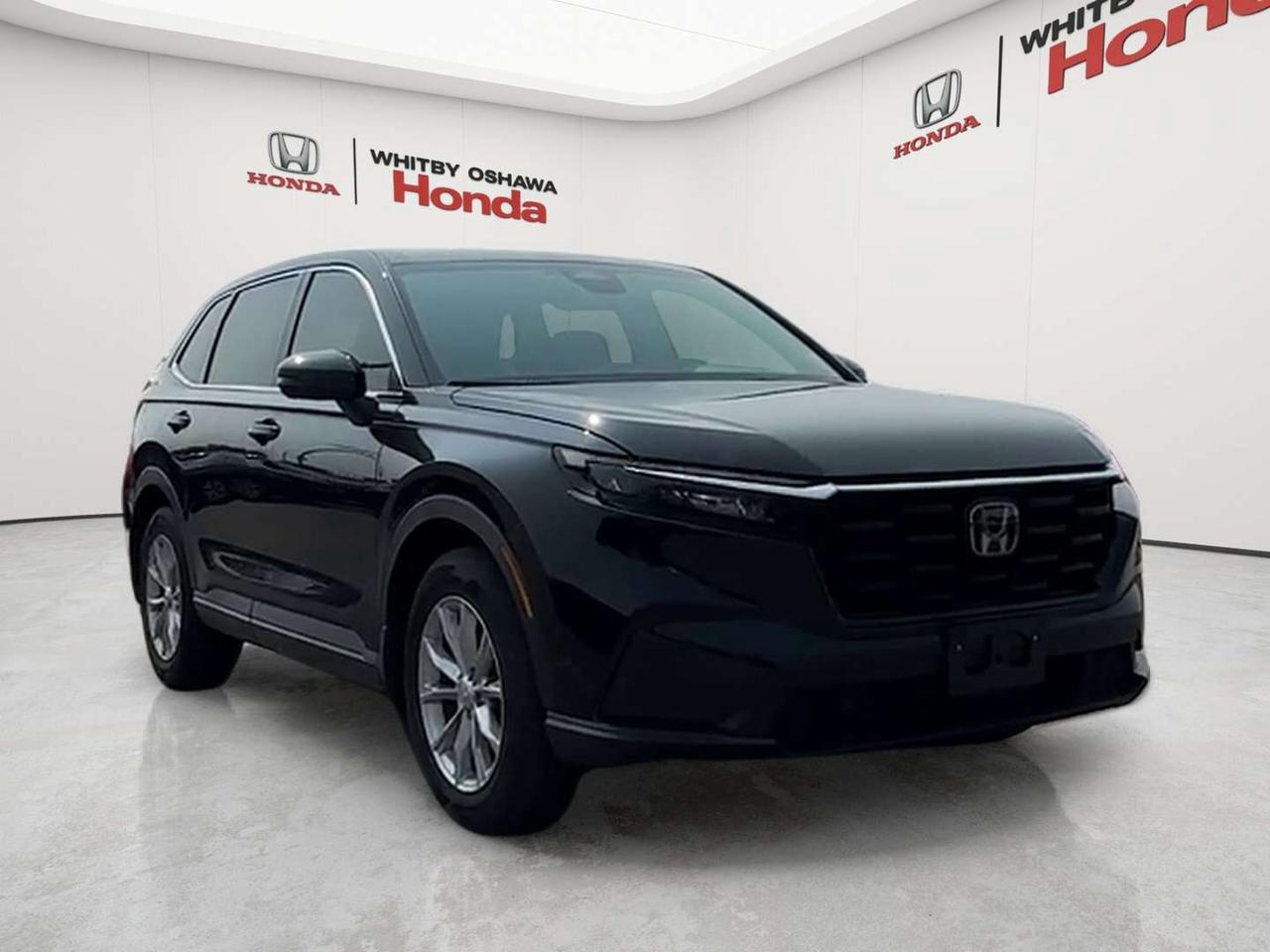 2024 Honda CR-V EX-L Photo
