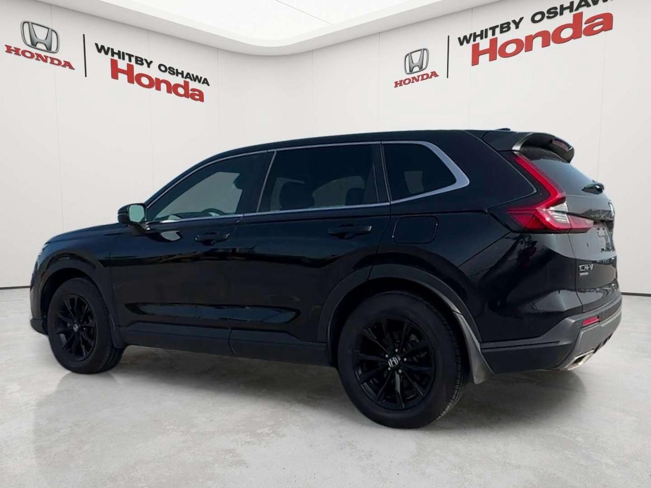 2025 Honda CR-V EX-L Photo