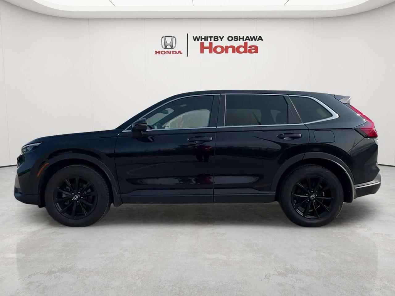 2025 Honda CR-V EX-L Photo