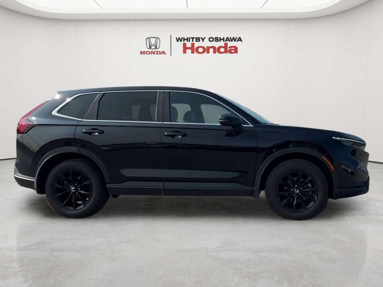 2025 Honda CR-V EX-L Photo