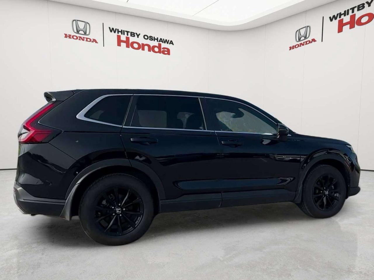 2025 Honda CR-V EX-L Photo