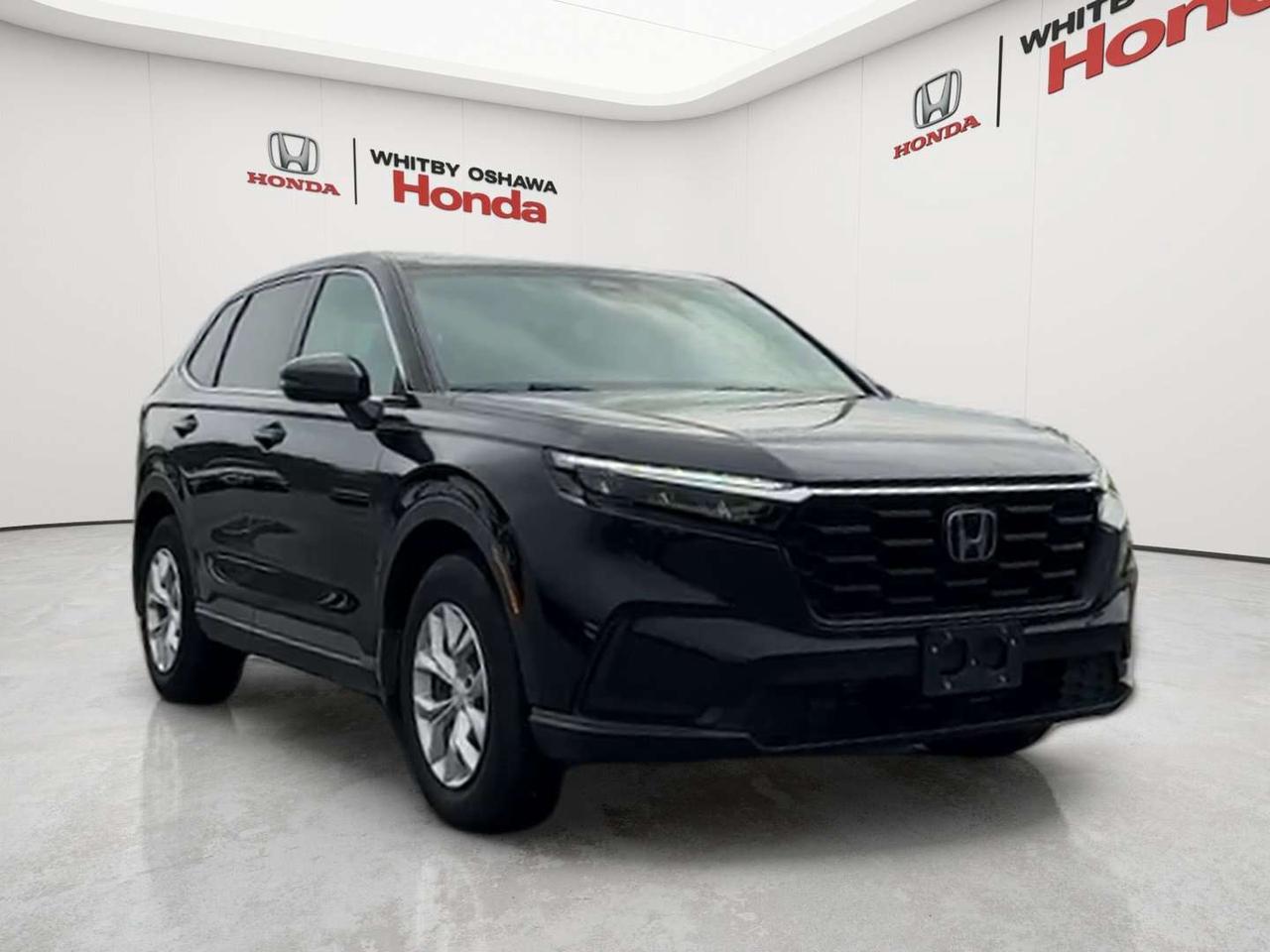 2025 Honda CR-V LX Photo
