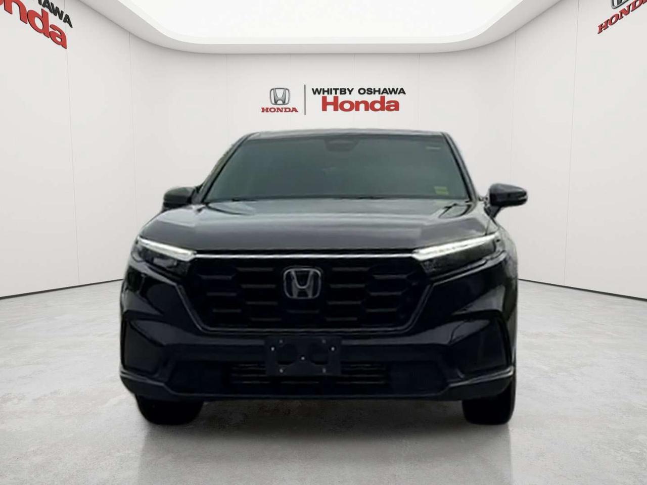 2025 Honda CR-V LX Photo
