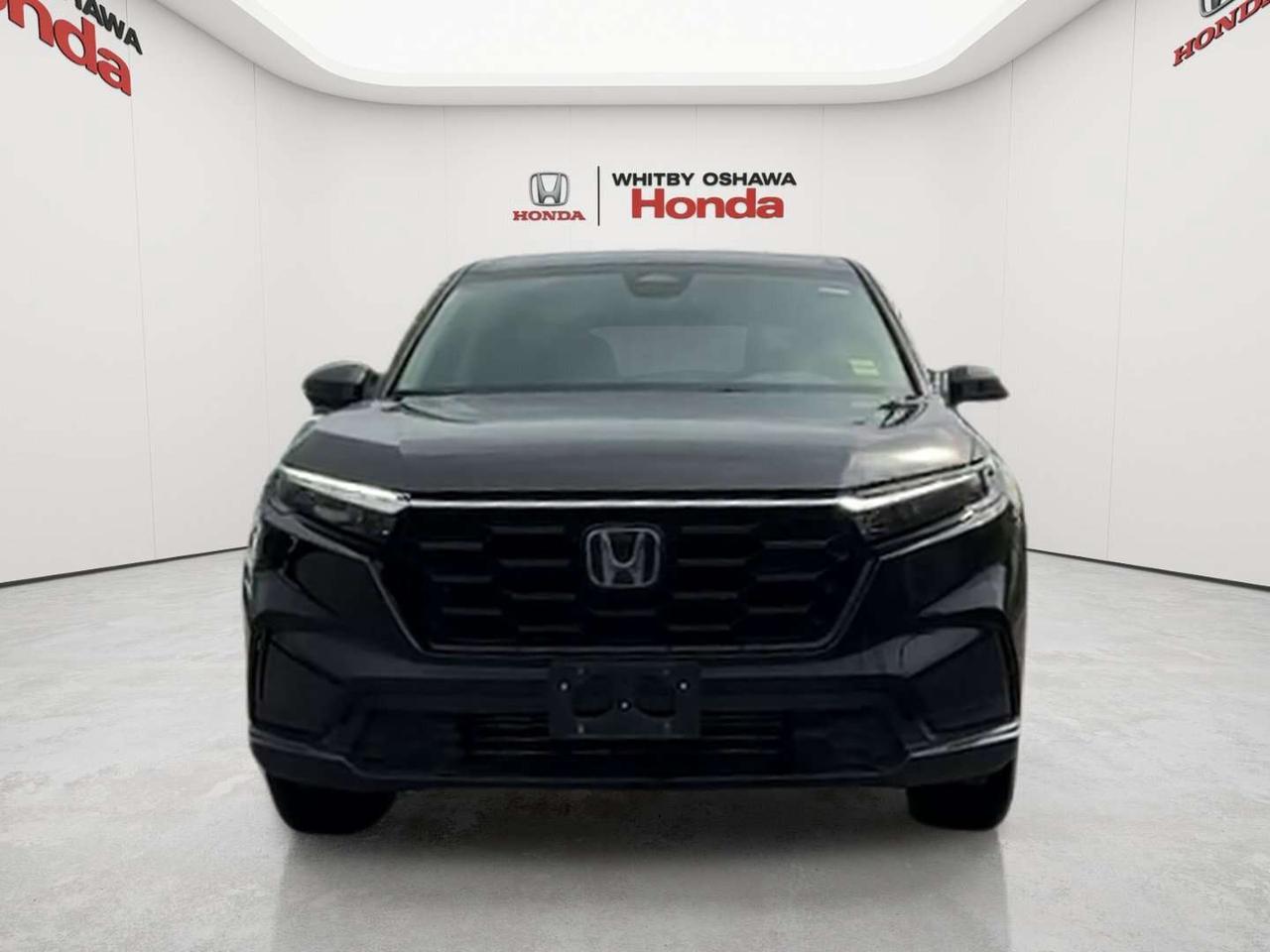 2025 Honda CR-V LX Photo