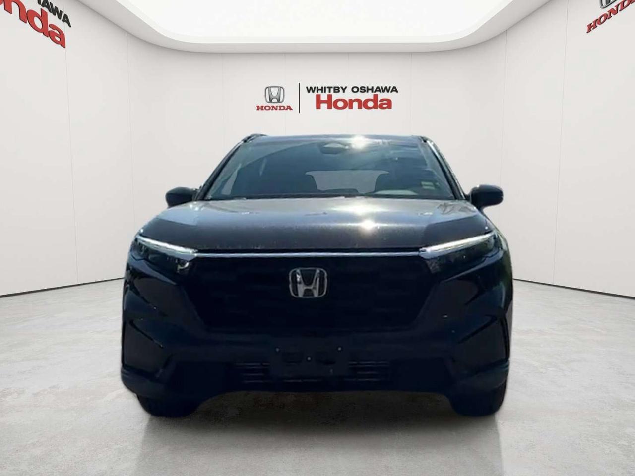 2026 Honda CR-V Sport Photo