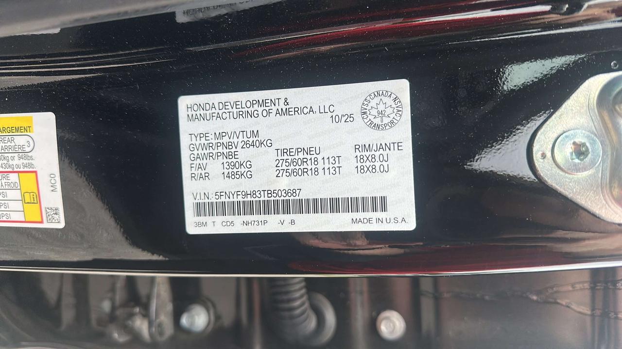 2026 Honda Passport TRAILSPORT Photo