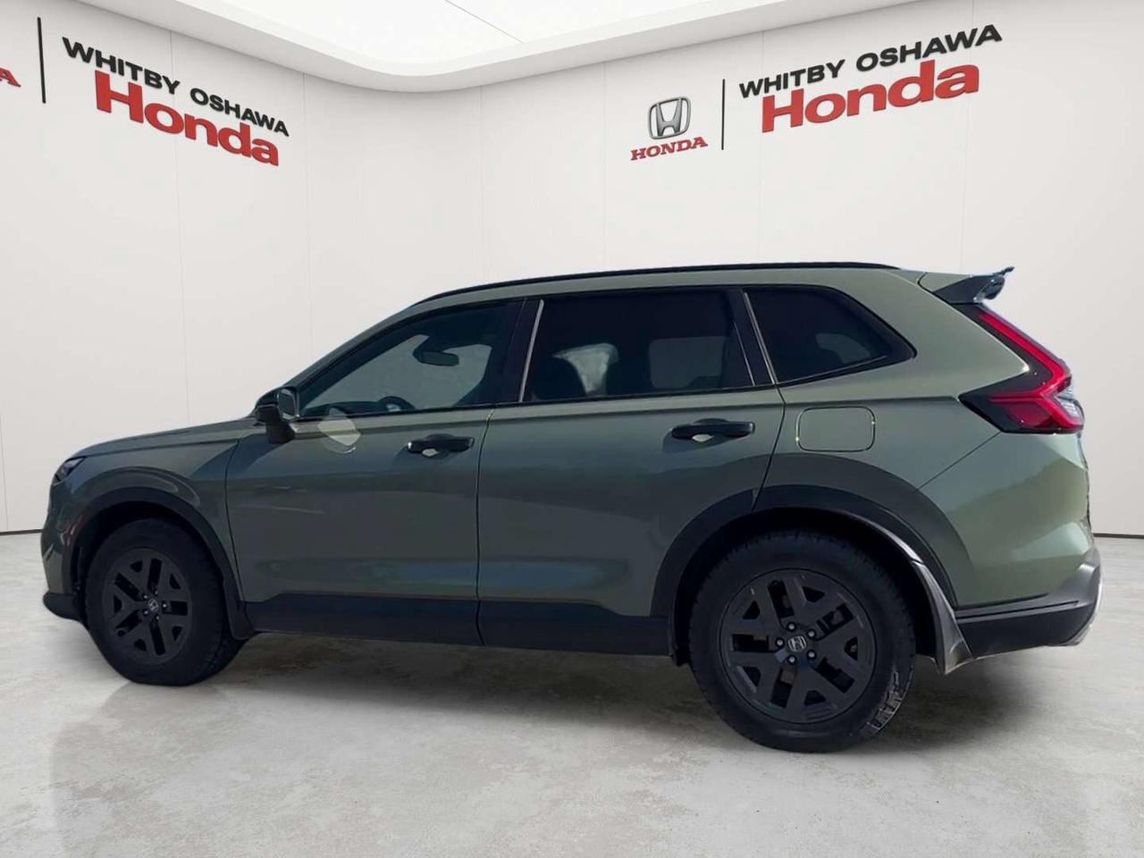 2026 Honda CR-V TrailSport Photo