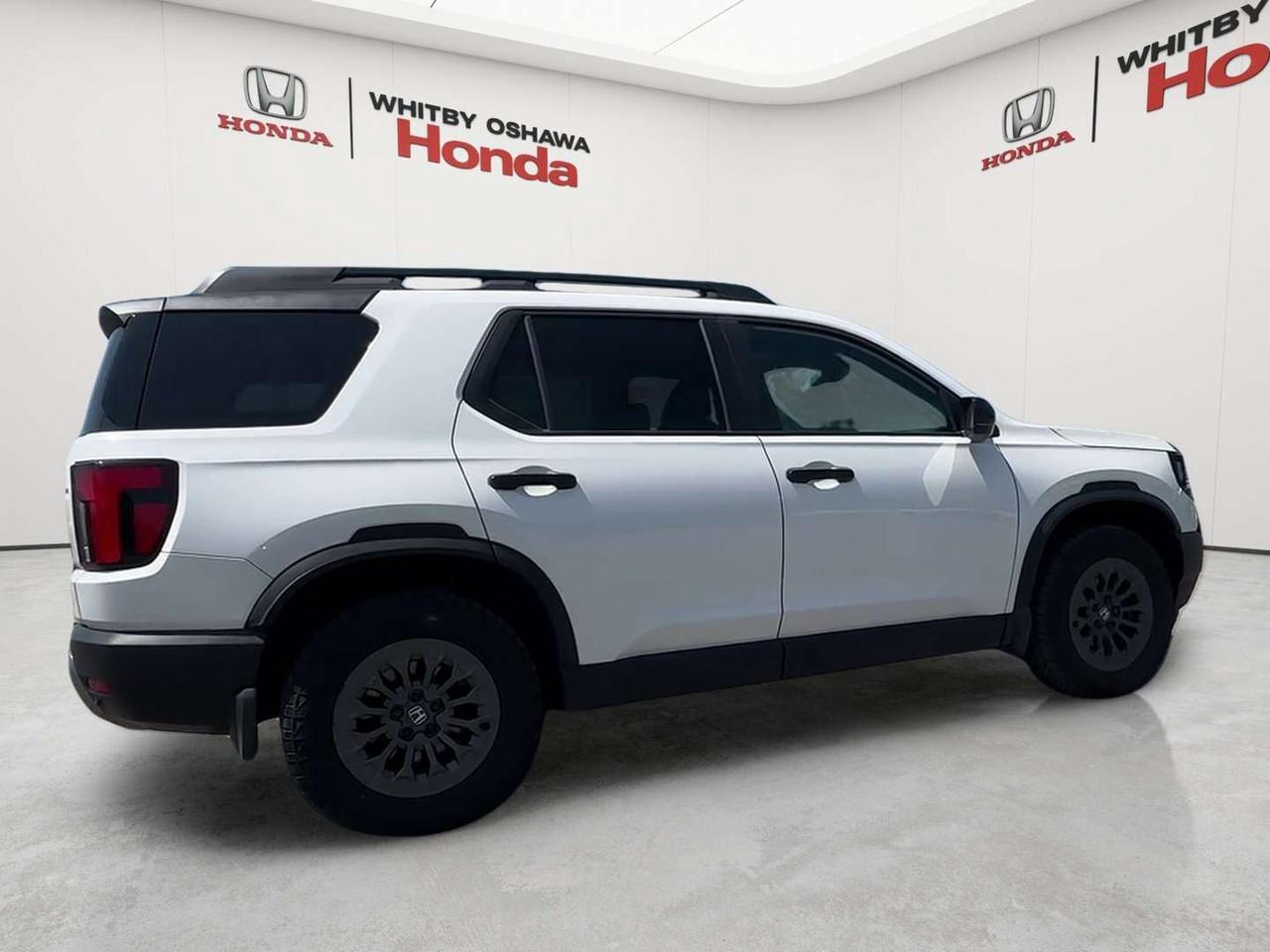 2026 Honda Passport TRAILSPORT Photo