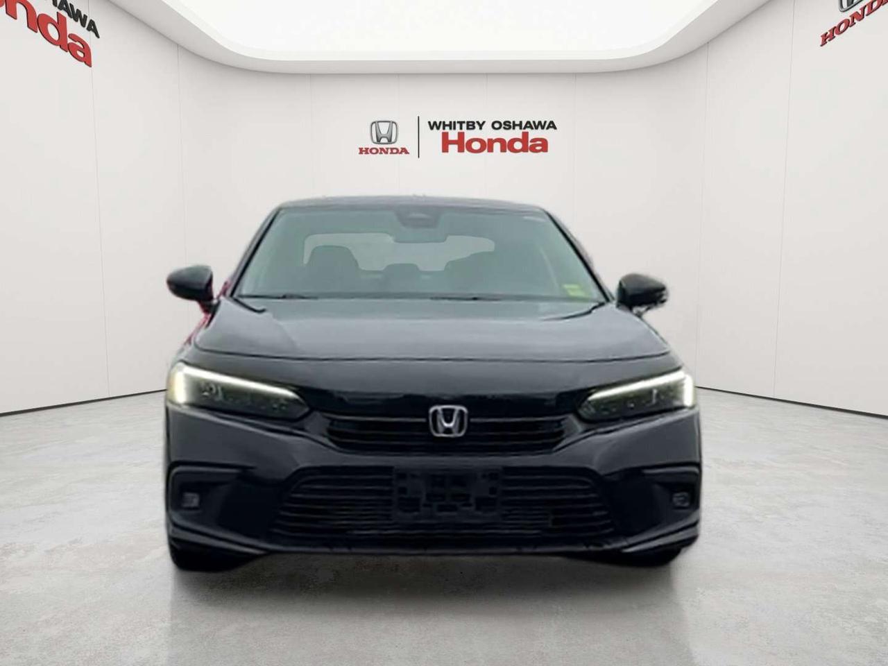 2024 Honda Civic Touring Photo