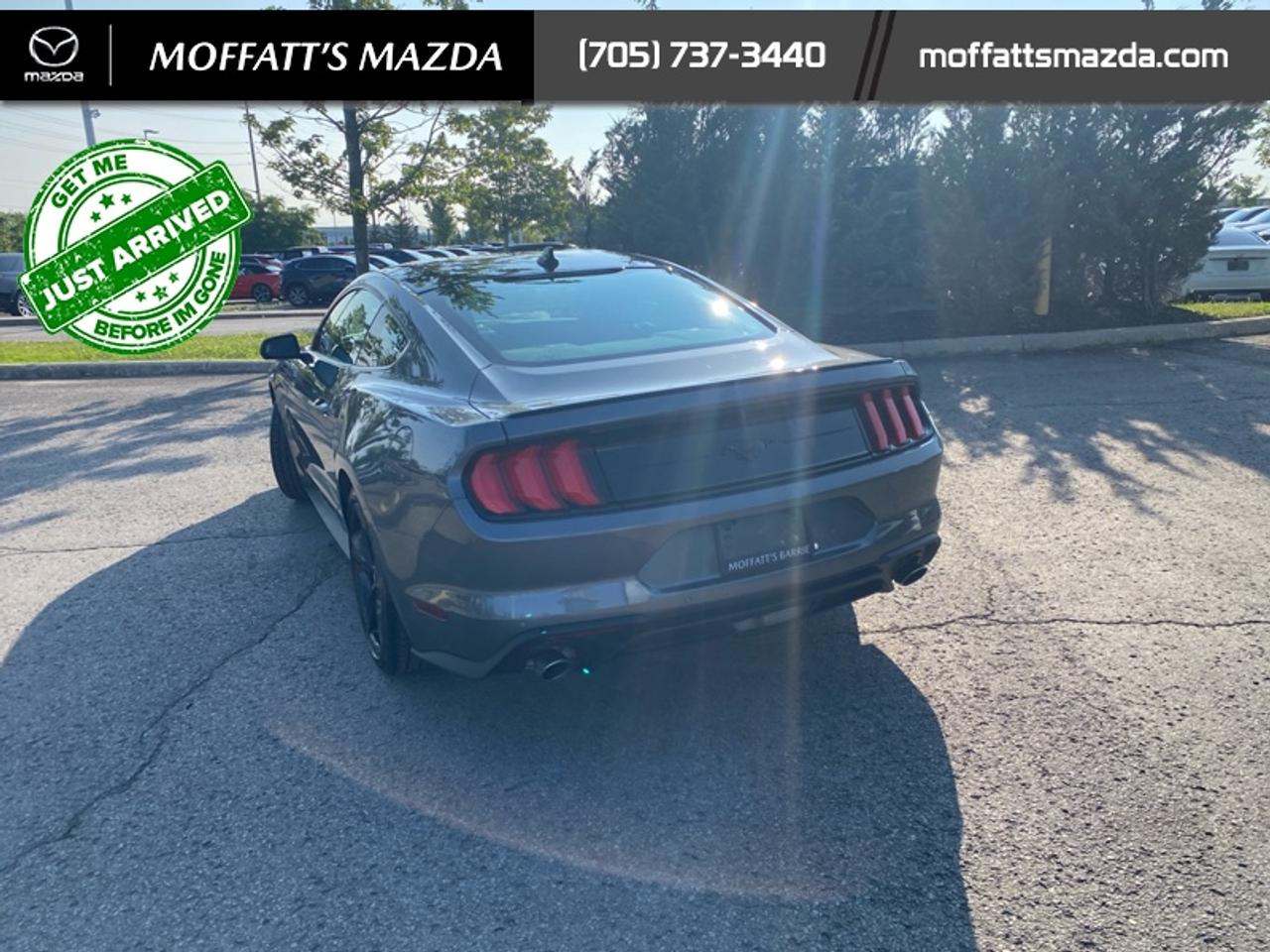 2021 Ford Mustang EcoBoost Photo