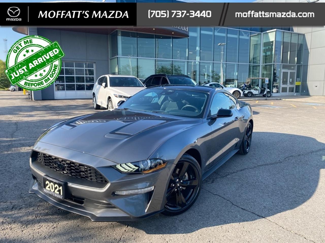 2021 Ford Mustang EcoBoost Photo