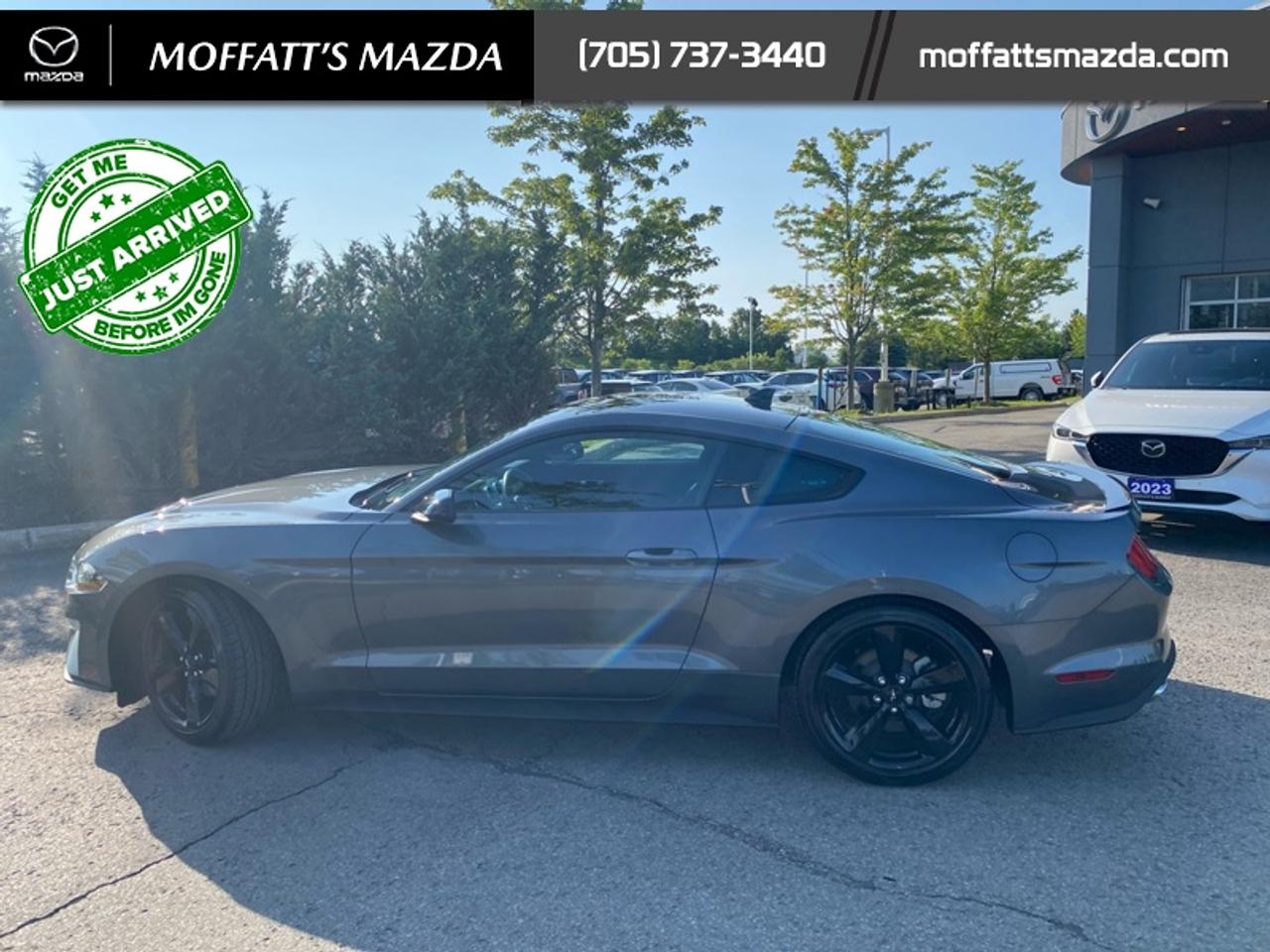 2021 Ford Mustang EcoBoost Photo