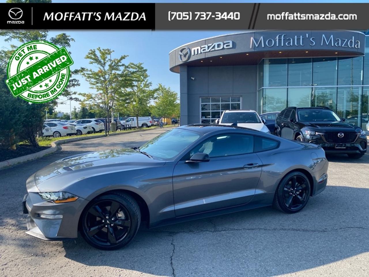 2021 Ford Mustang EcoBoost Photo