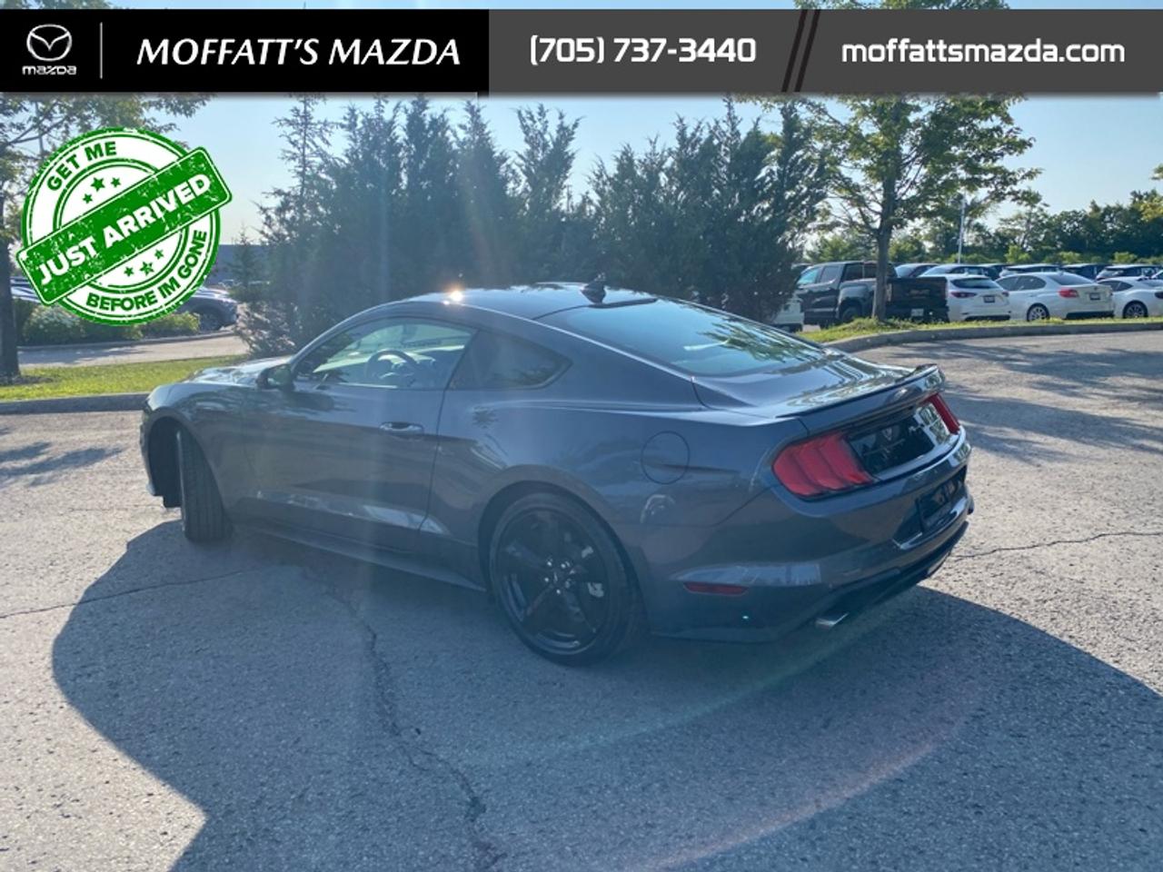 2021 Ford Mustang EcoBoost Photo