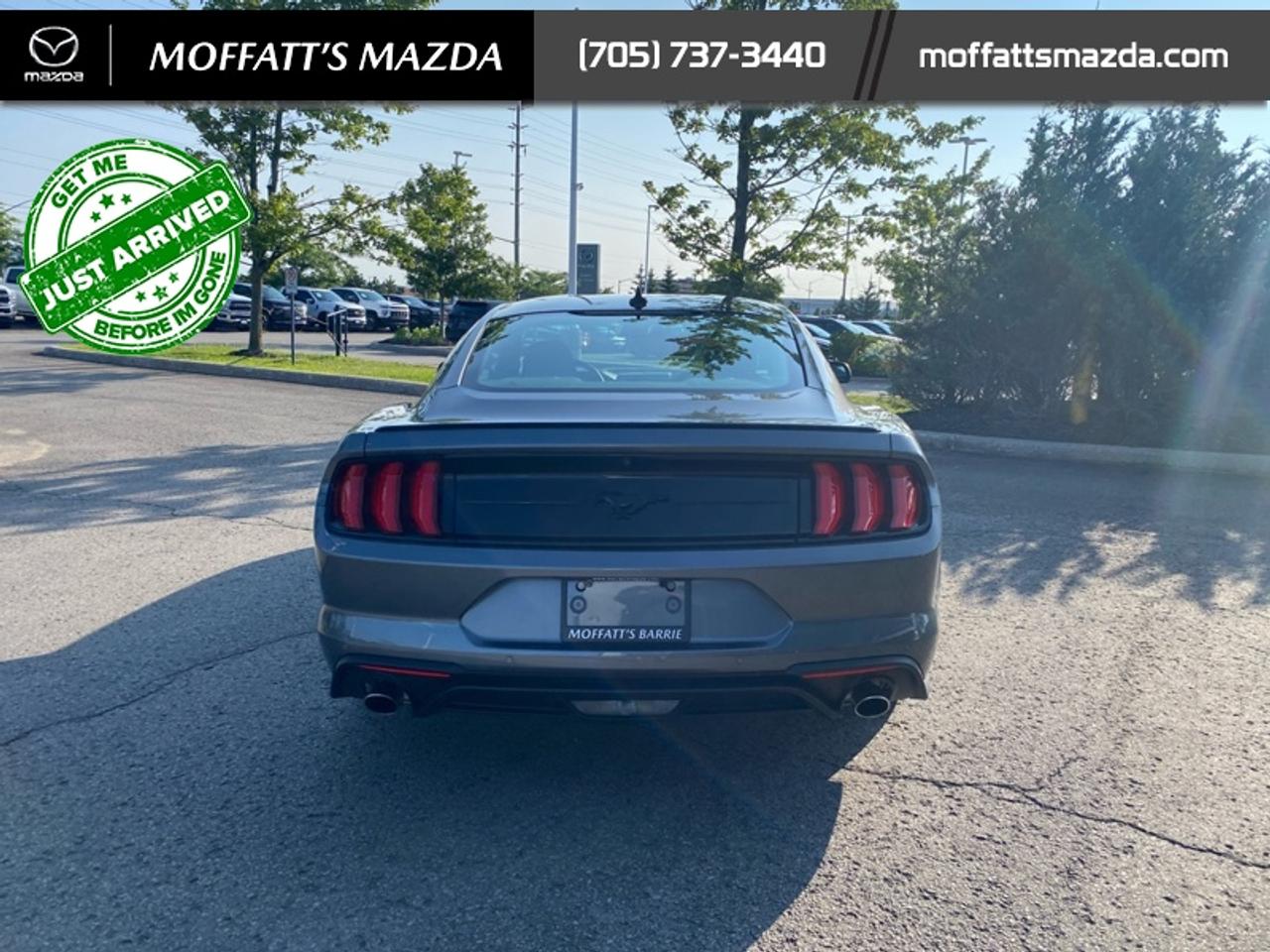 2021 Ford Mustang EcoBoost Photo