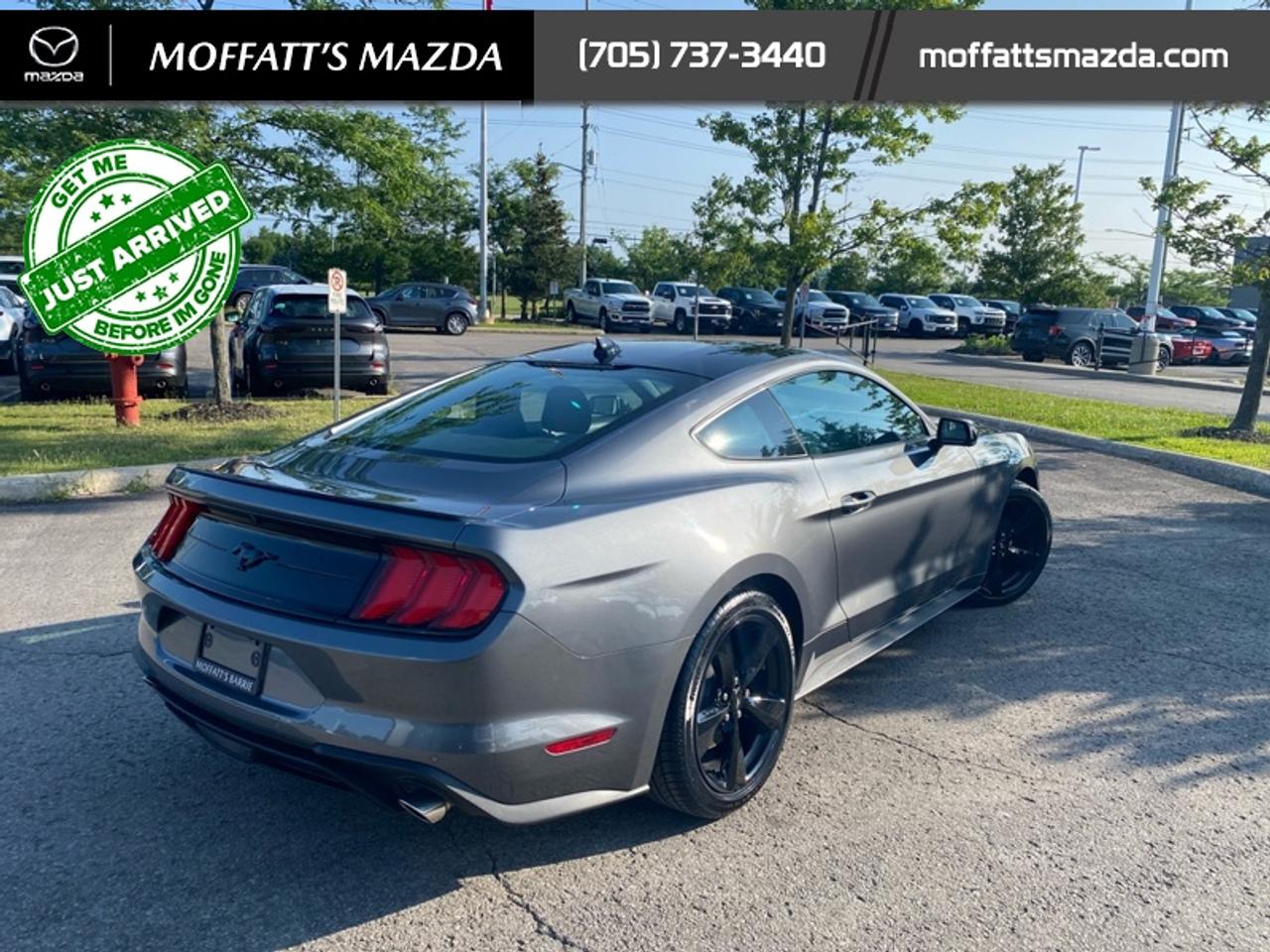 2021 Ford Mustang EcoBoost Photo