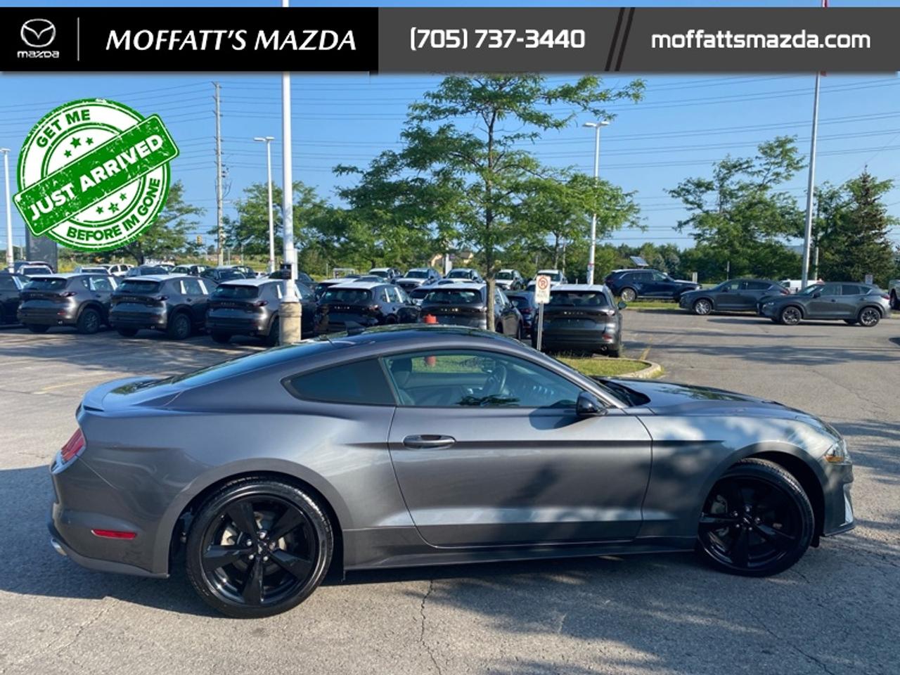 2021 Ford Mustang EcoBoost Photo