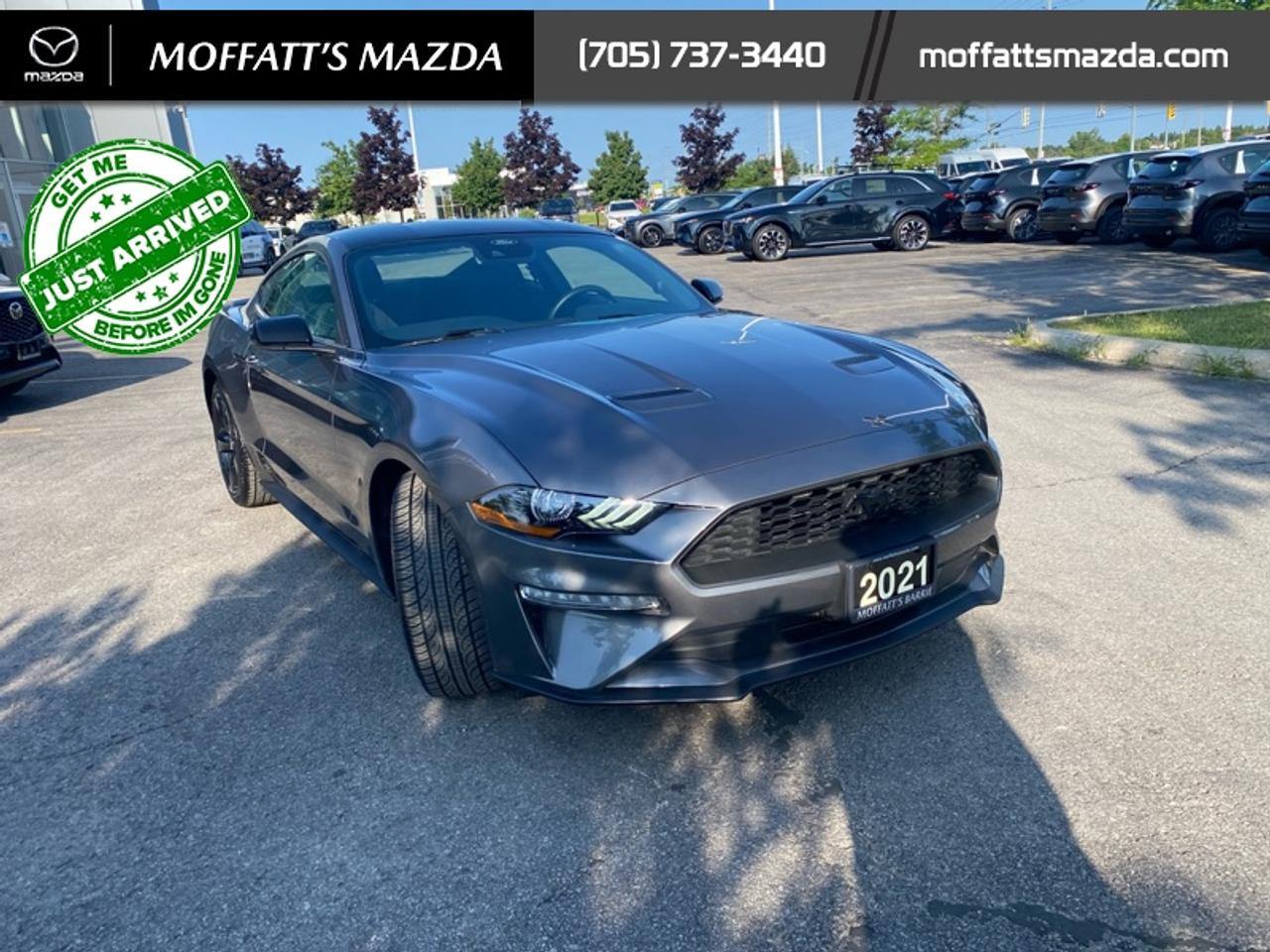 2021 Ford Mustang EcoBoost Photo