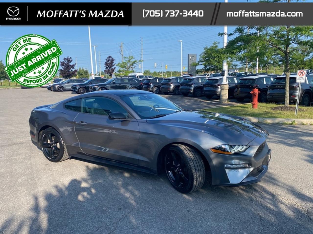 2021 Ford Mustang EcoBoost Photo