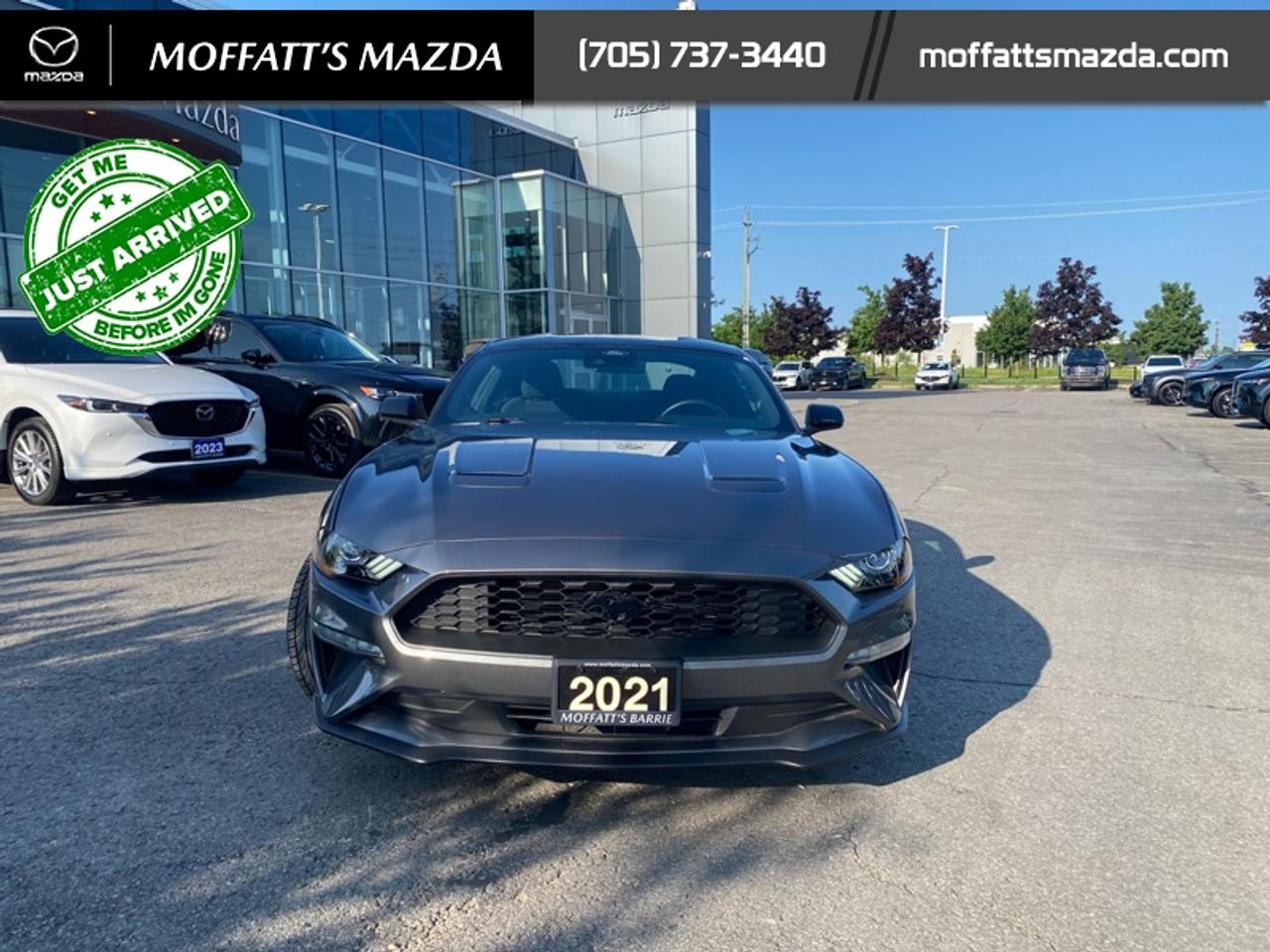 2021 Ford Mustang EcoBoost Photo