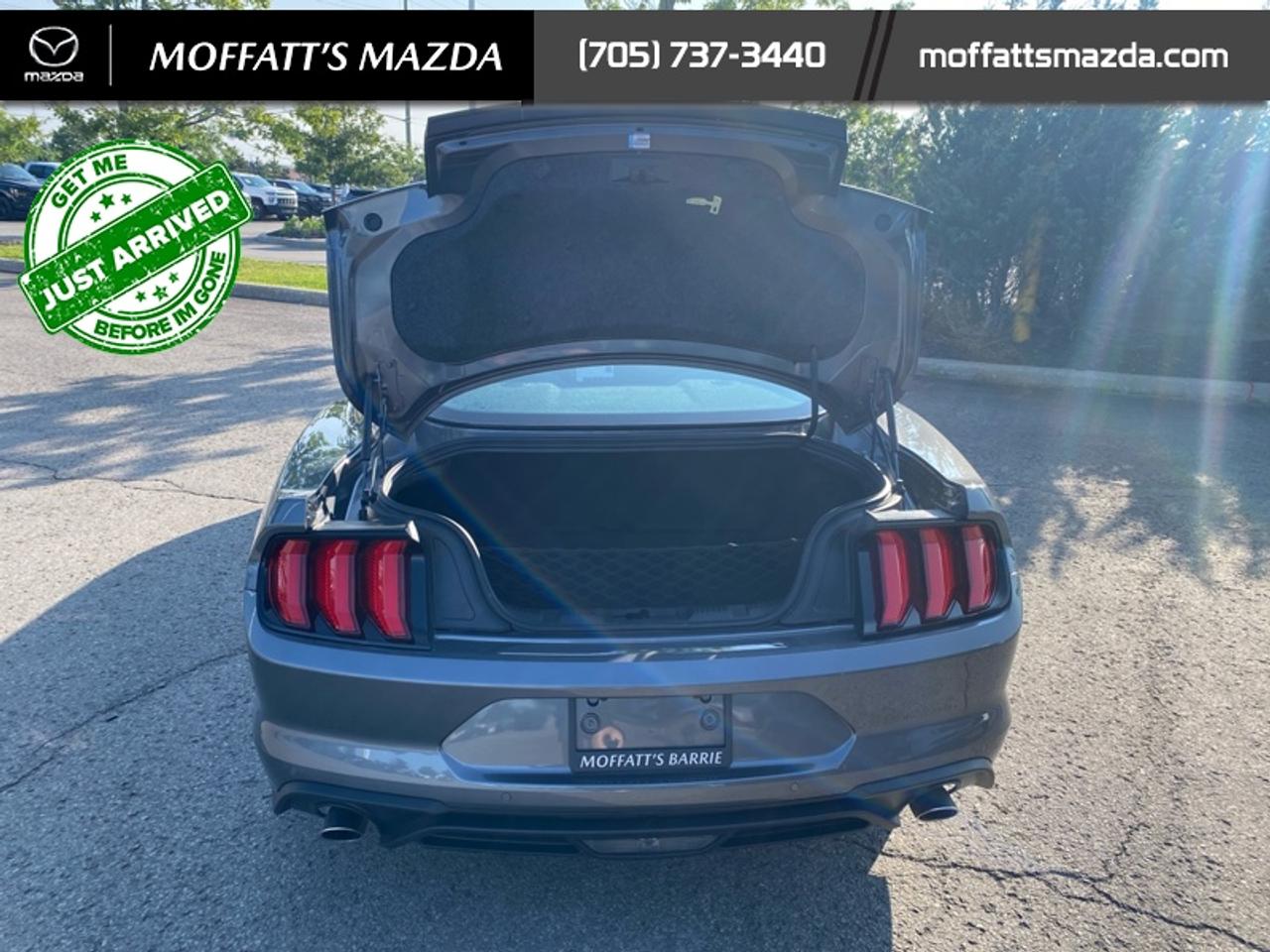 2021 Ford Mustang EcoBoost Photo