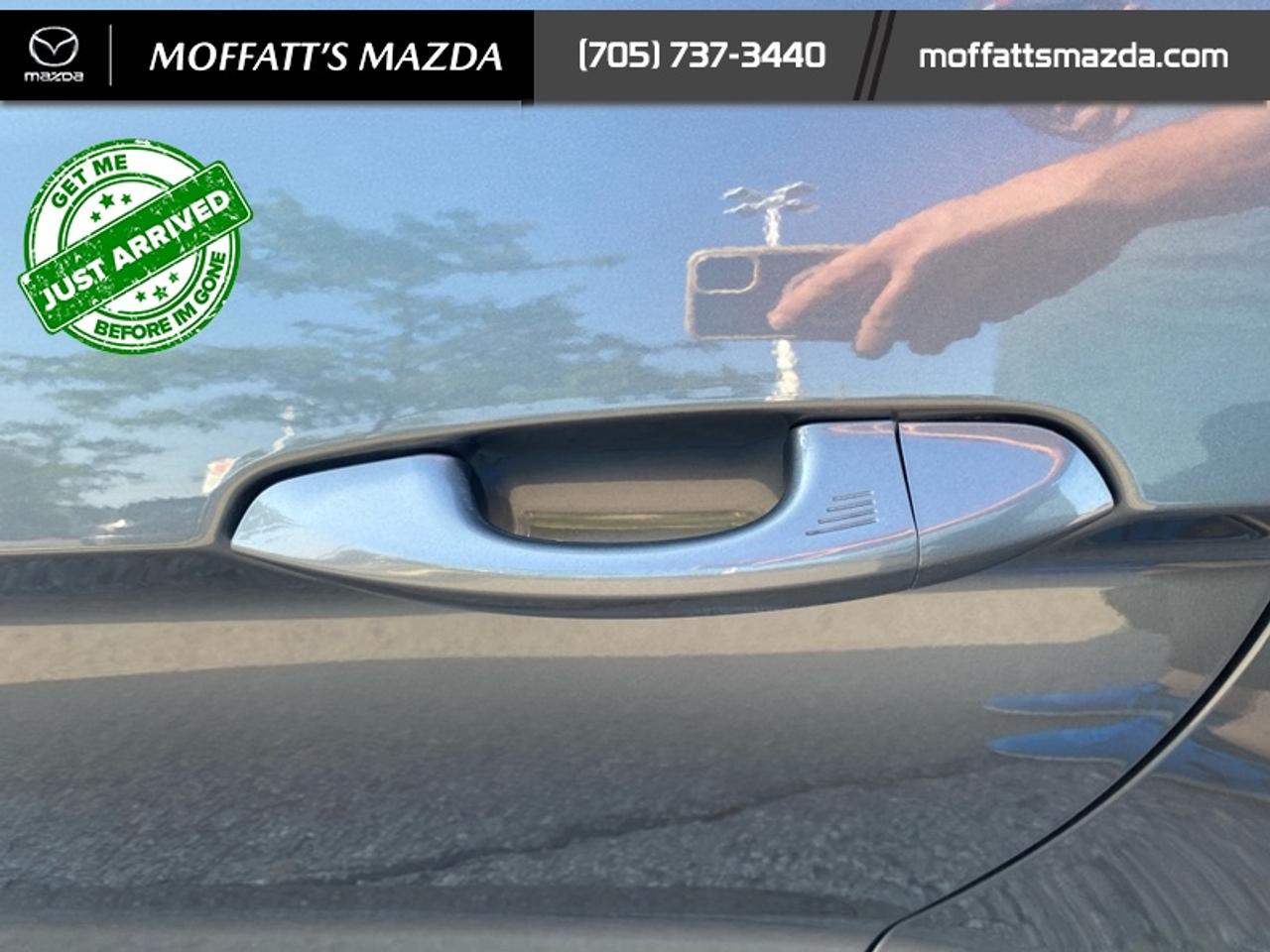 2021 Ford Mustang EcoBoost Photo