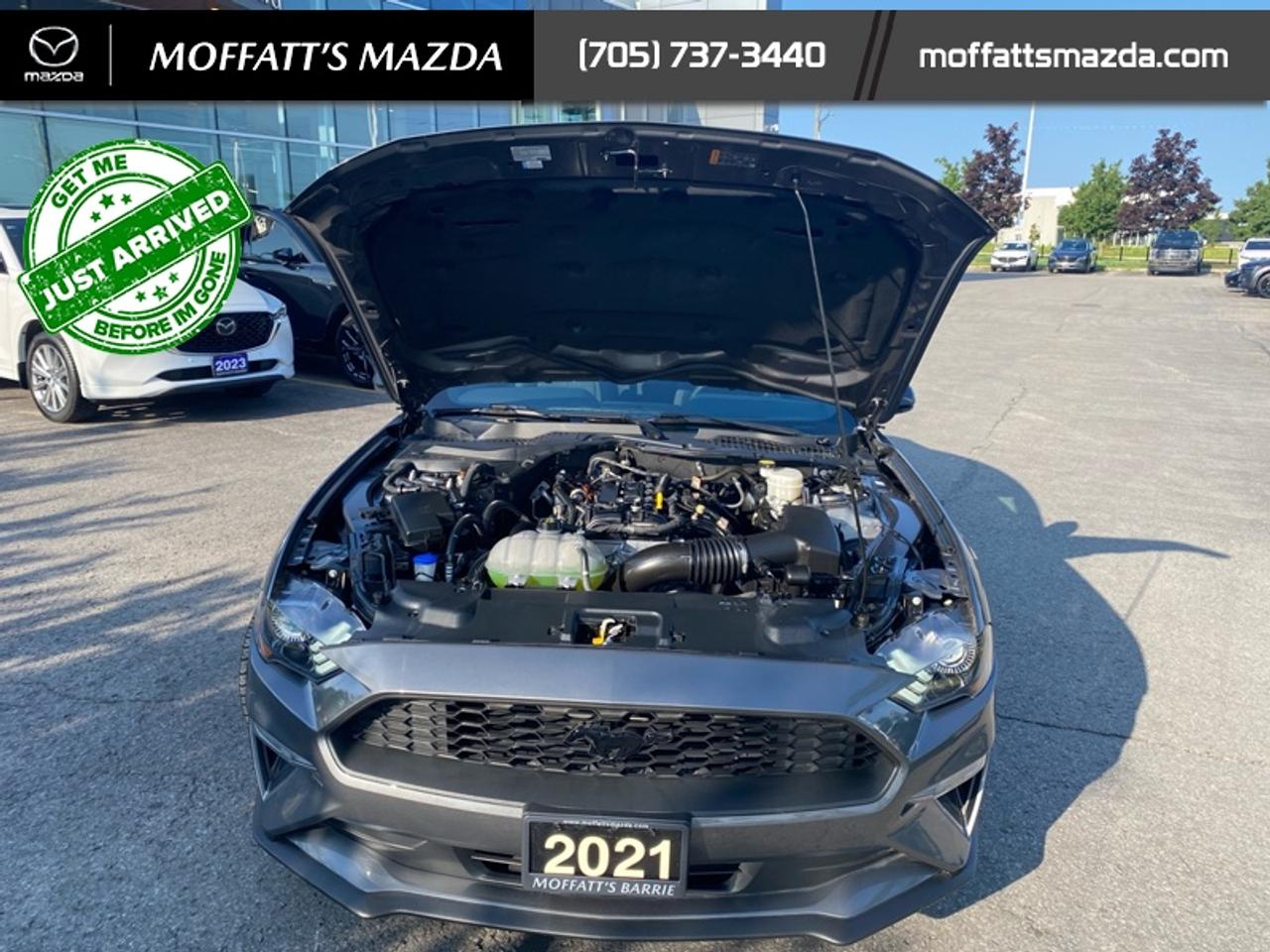 2021 Ford Mustang EcoBoost Photo