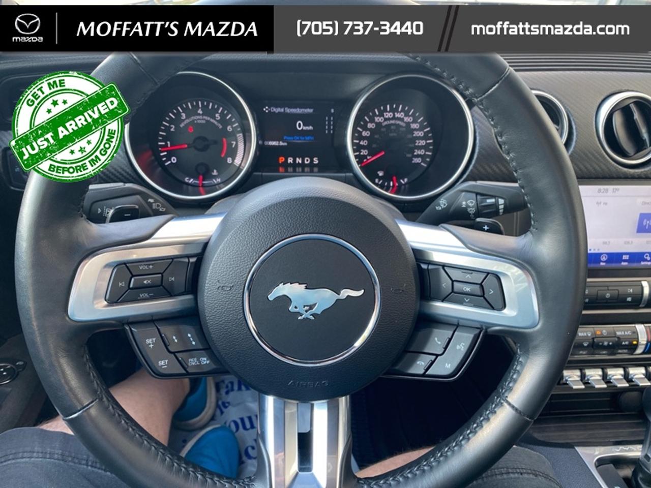 2021 Ford Mustang EcoBoost Photo