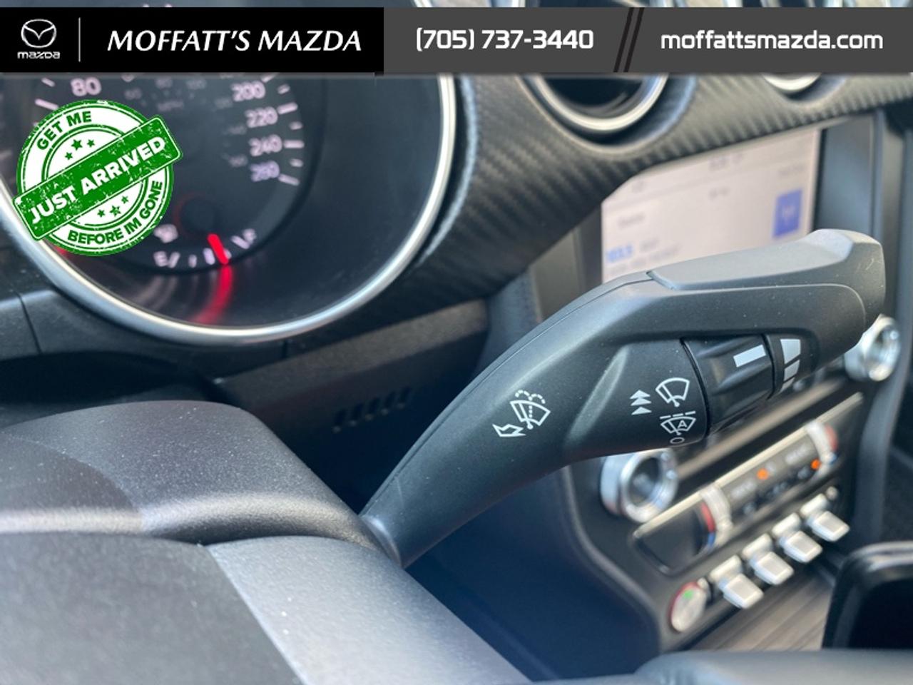 2021 Ford Mustang EcoBoost Photo