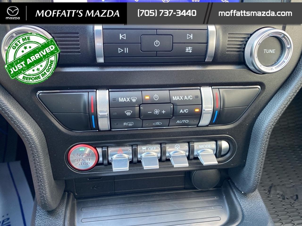 2021 Ford Mustang EcoBoost Photo