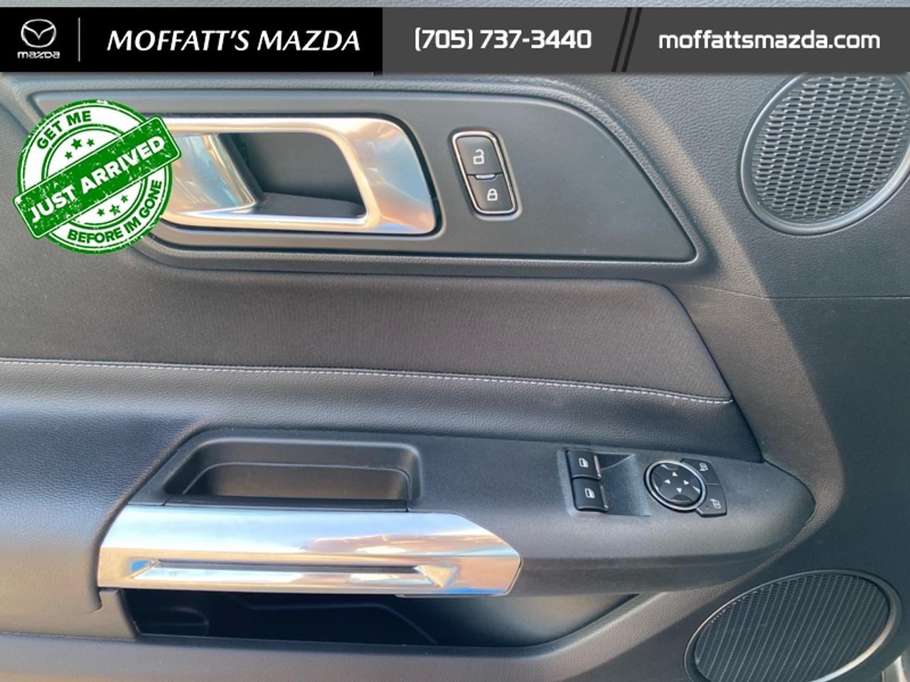 2021 Ford Mustang EcoBoost Photo
