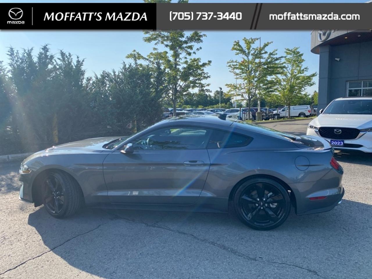 2021 Ford Mustang EcoBoost Photo2