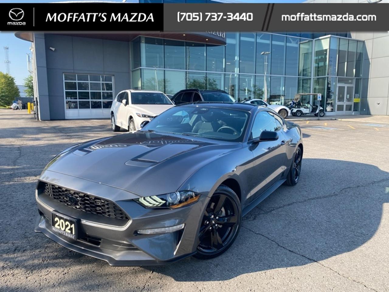 2021 Ford Mustang EcoBoost Photo