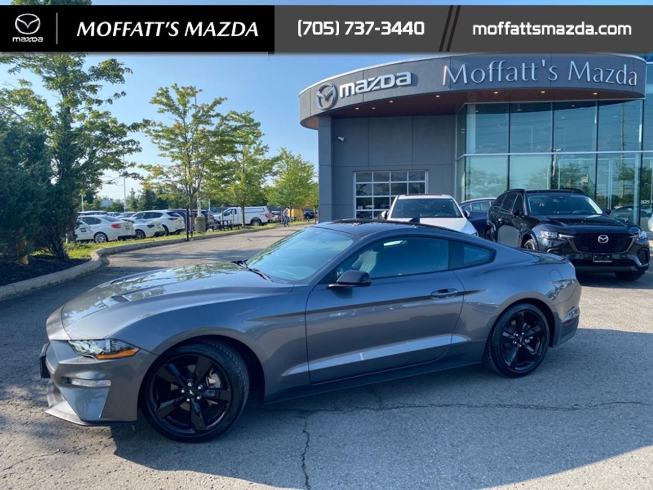 2021 Ford Mustang EcoBoost Photo5